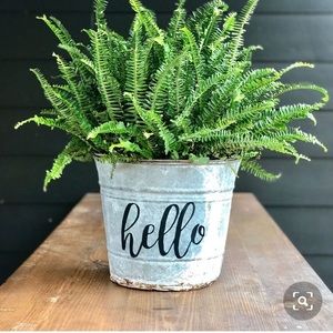 Meet your Posher, Sheila